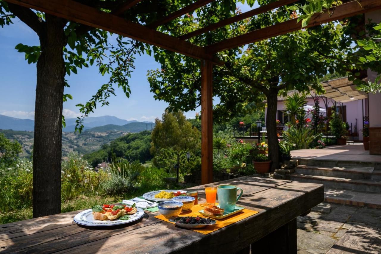 B&B Albachiara Casa Di Campagna Ольястро-Чиленто Екстер'єр фото