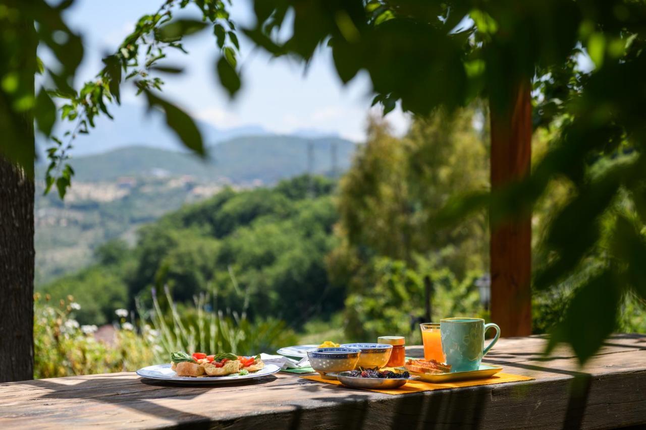 B&B Albachiara Casa Di Campagna Ольястро-Чиленто Екстер'єр фото