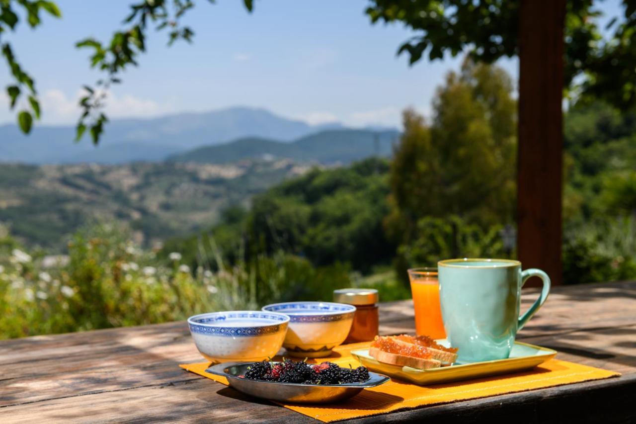 B&B Albachiara Casa Di Campagna Ольястро-Чиленто Екстер'єр фото