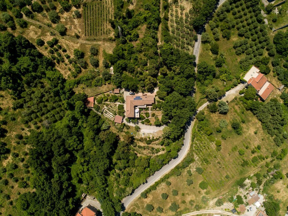 B&B Albachiara Casa Di Campagna Ольястро-Чиленто Екстер'єр фото
