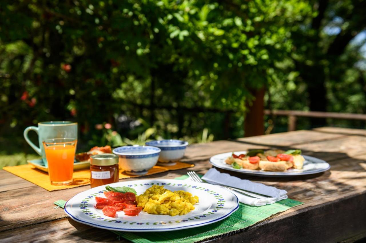 B&B Albachiara Casa Di Campagna Ольястро-Чиленто Екстер'єр фото