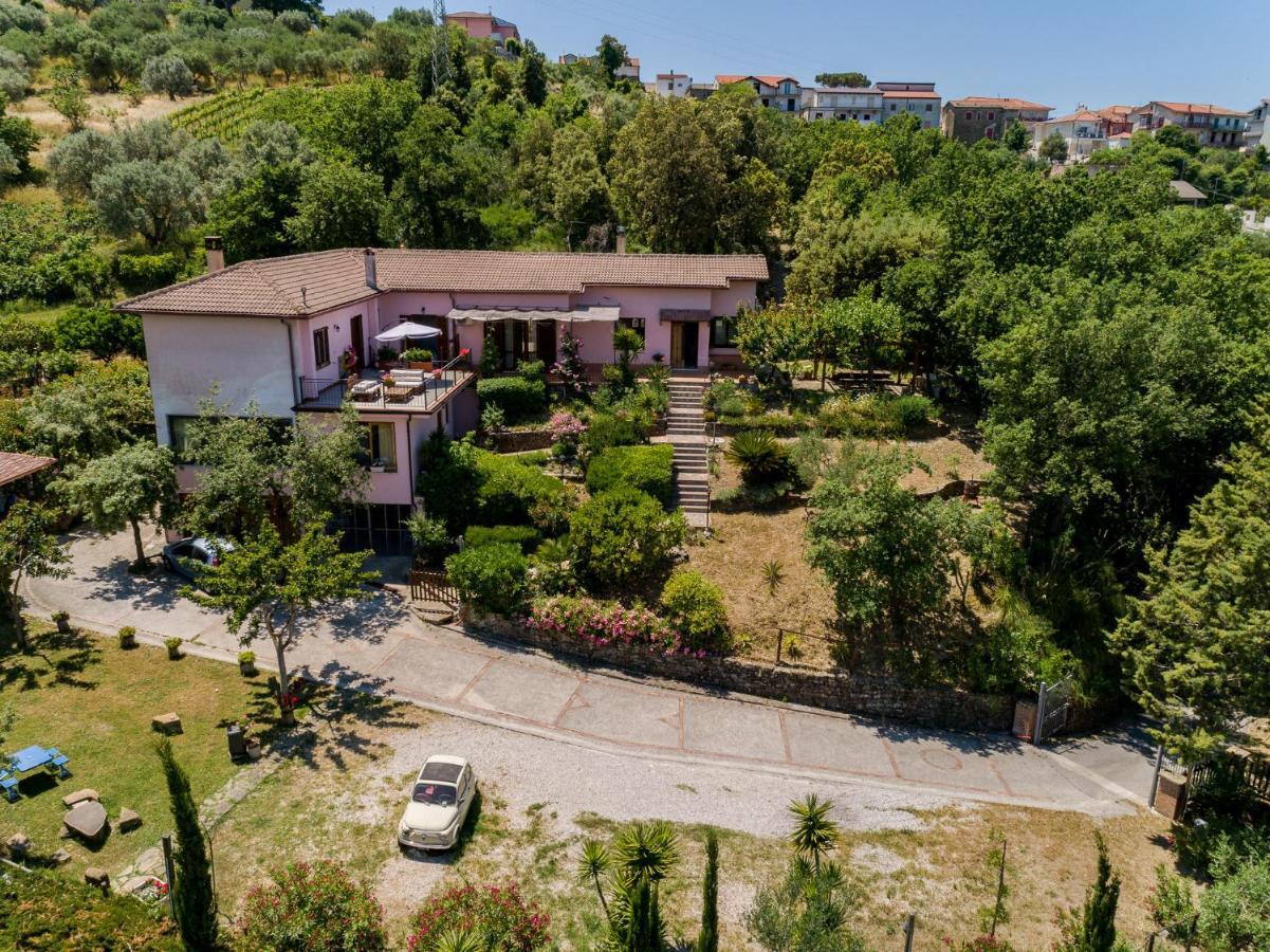 B&B Albachiara Casa Di Campagna Ольястро-Чиленто Екстер'єр фото