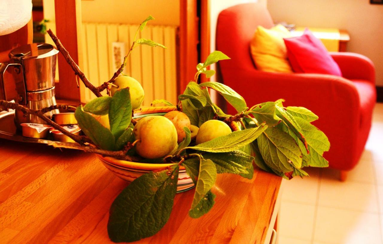 B&B Albachiara Casa Di Campagna Ольястро-Чиленто Екстер'єр фото