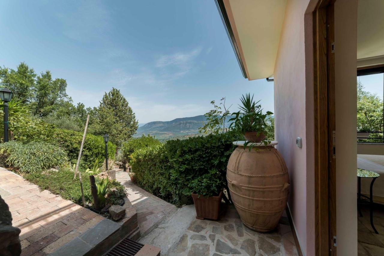 B&B Albachiara Casa Di Campagna Ольястро-Чиленто Екстер'єр фото