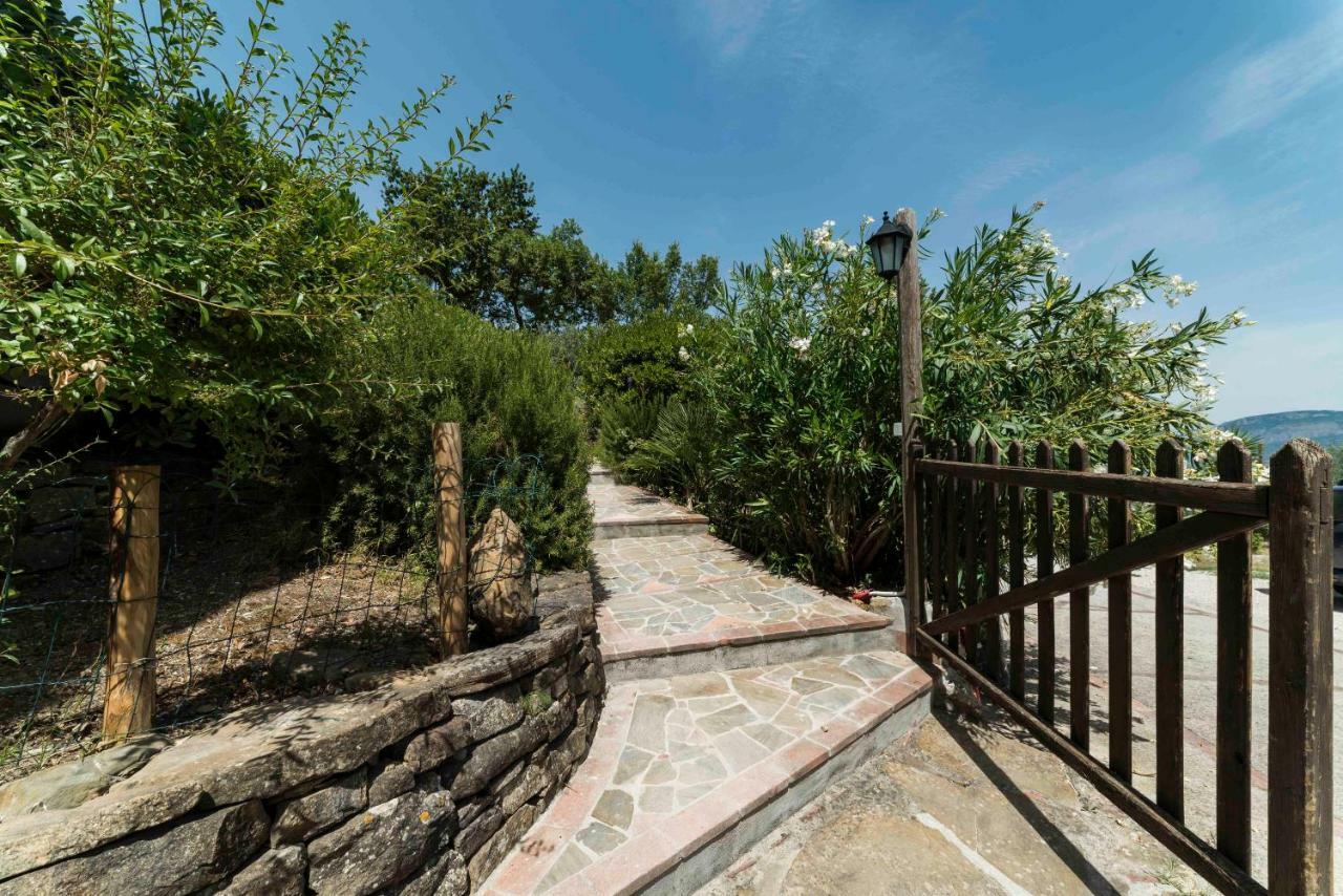 B&B Albachiara Casa Di Campagna Ольястро-Чиленто Екстер'єр фото